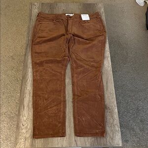 Sonoma Women's Skinny Pants in Warm Brown